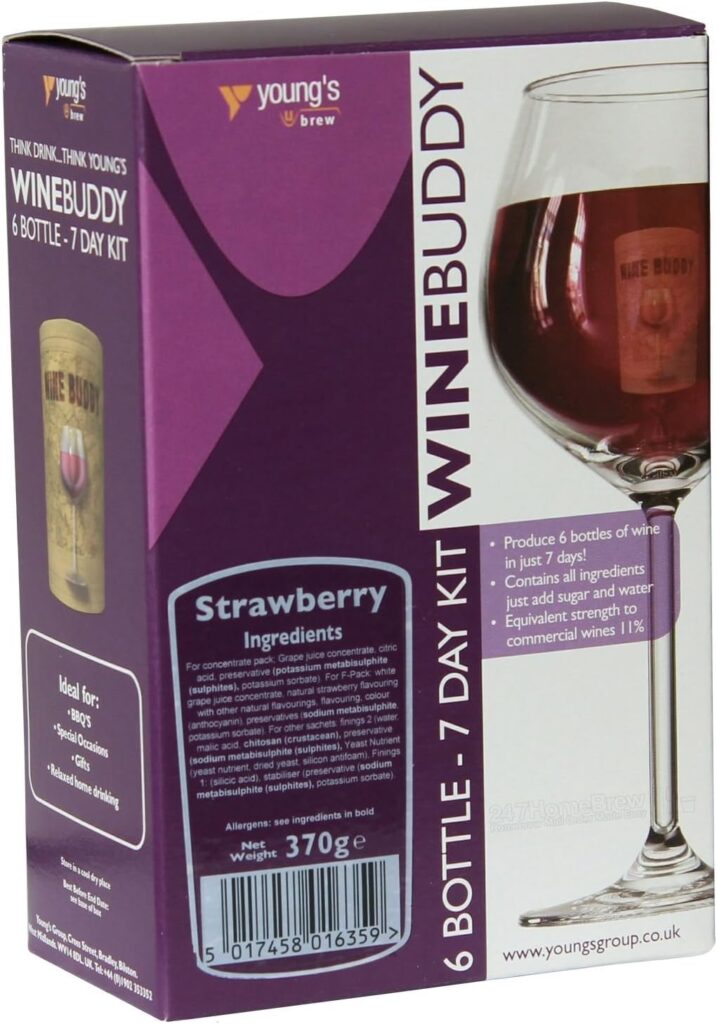 strawberry wine kit